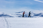 tvillinger på skitur