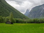 Vår