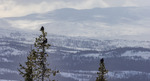 Utsikt over deres fjellrike 
