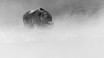 Snøstorm
