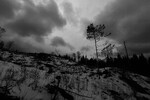Norge i rødt, hvitt og grått