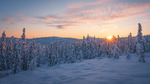 Morgenglød