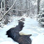 Vinter minne