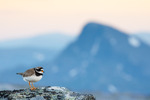 Blåtimen i Jotunheimen