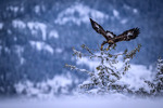 Take off !