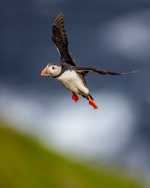 Klarert for landing