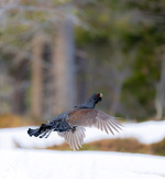 Take off