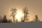 Sol bakom tåke