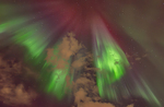Kraftig Nordlys rett over hodet