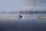 Refleksjon i kveldslys