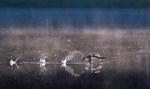 Take off