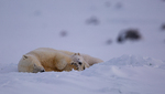 Power nap