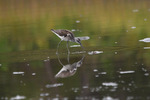 Speilbilde