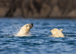 Tvillinger på svømmetur
