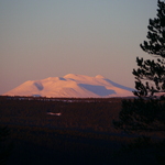 Sølen i Solnedgang!