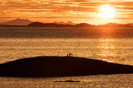 Utsikt fra Kjerringøy