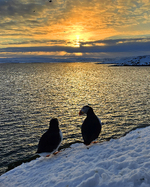 Solnedgang i Finnmark