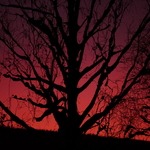 Rød Himmel