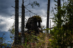 Naturens egen kunst