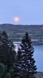 Måne på jord