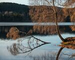 Bogstadvannet