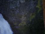 Petter Edderkopp ved fossen