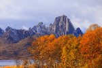 Fjellet Reka 