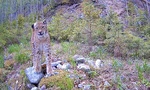 Øyekontakt