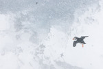 Snøstorm