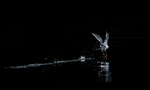 High speed take-off