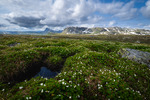 Sommer i Valdres