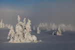 Skulpturer i Vinterfjellet