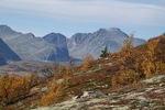 Høst i fjellheimen.