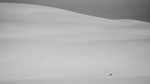 Whiteout