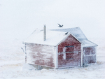 Raven Cabin