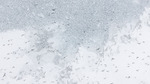 Snøkaos