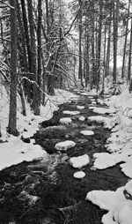 Vinter i elva