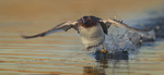 take off 
