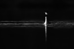 Toppdykker i S/V