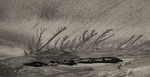 Storm i sand