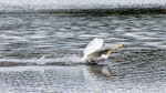 Take off