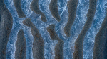 icetree