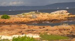 Ved Tofte