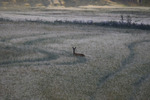 Landskap idyll en tidlig morgen 