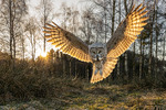 Inn for landing