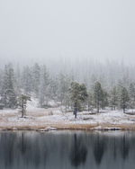 Den første snøen