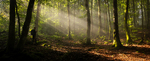 Naturfotografens Paradis