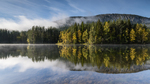 Stille morgenstund