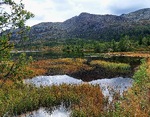 Høst i fjellet. 