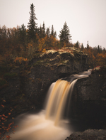 Myk foss